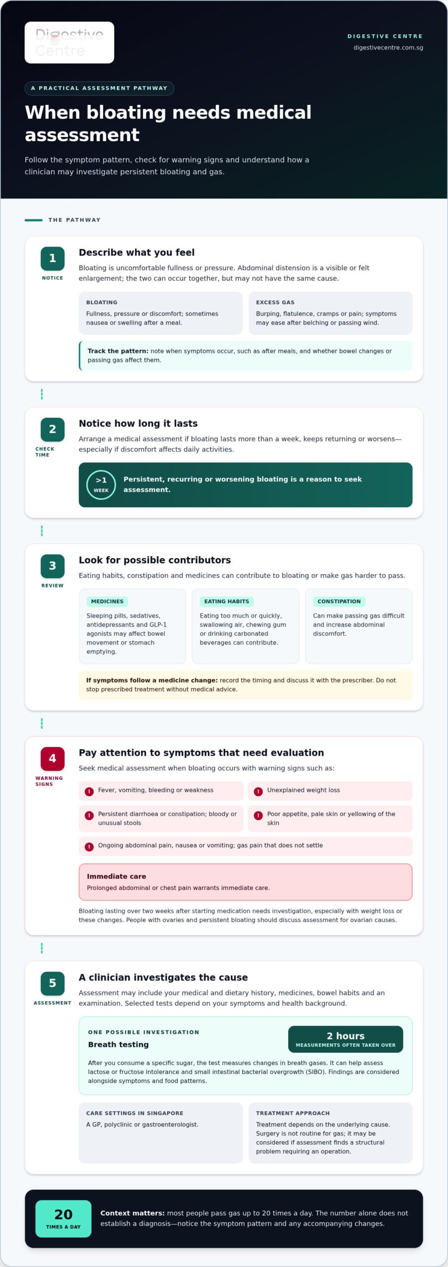Persistent stomach bloating and gas: causes and symptoms